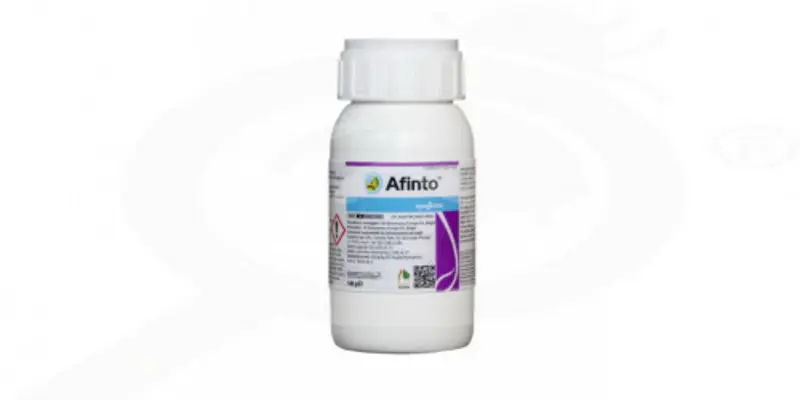 Afinto 500gr