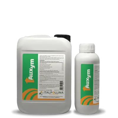 Auxym 1 lt