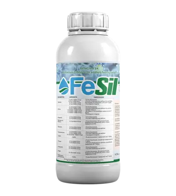 FESIL 1LT