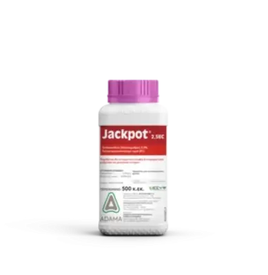 Jackpot 2,5 EC 1 lt
