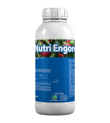 NUTRI ENGORDE 1 LT