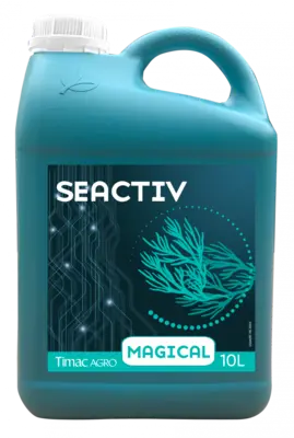  Seactiv Magical 1 lt