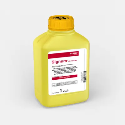 Signum® 26,7/6,7 WG 1 kg