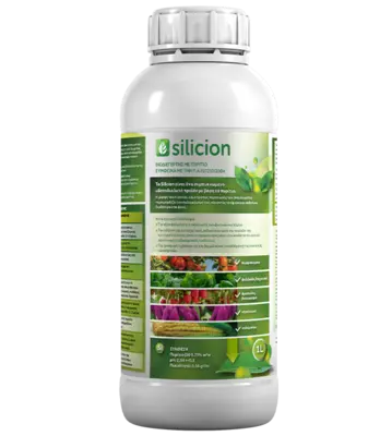 SILICION 1 LT