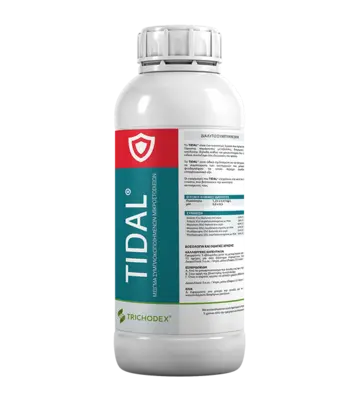 TIDAL 1LT