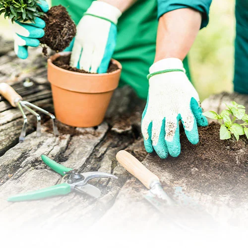 - Κατηγορία Λιπάσματα - Χώματα